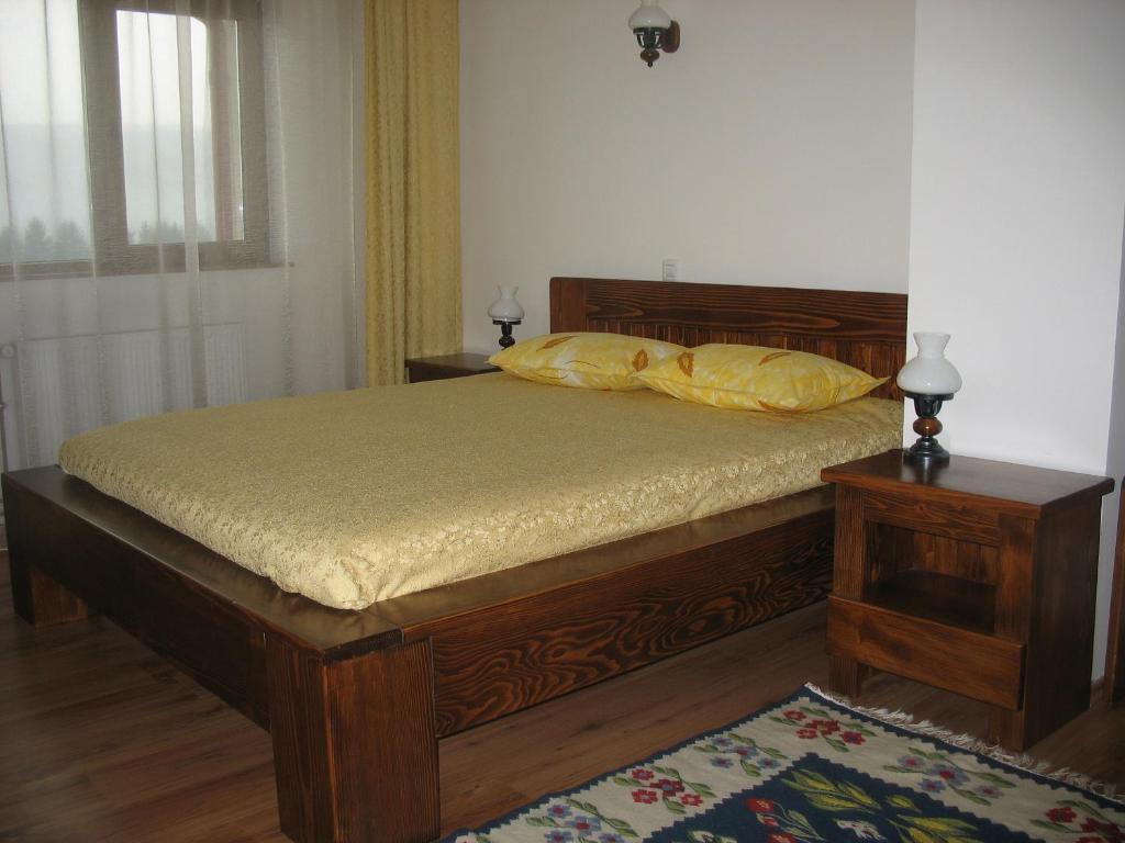 Pension Irina Arefu Room photo